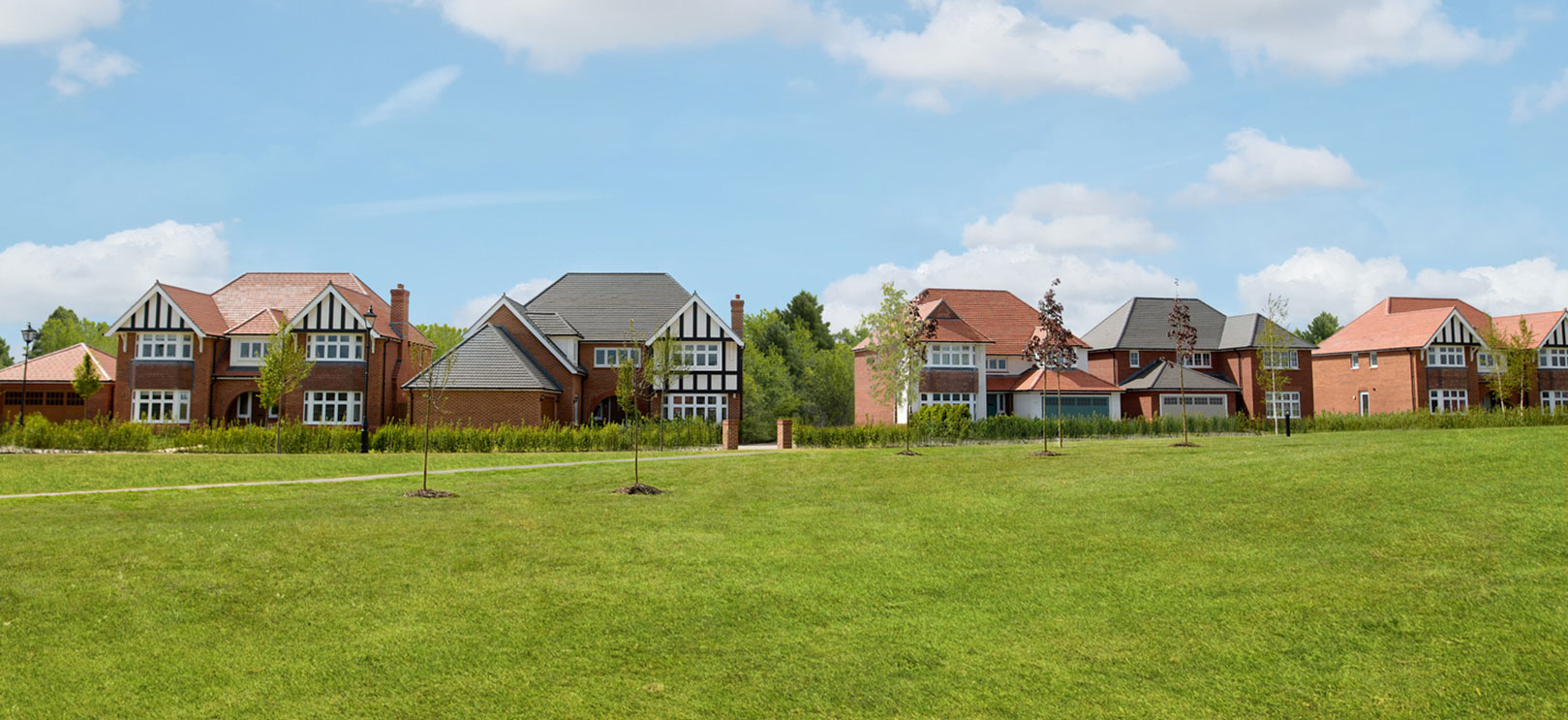 Site Image