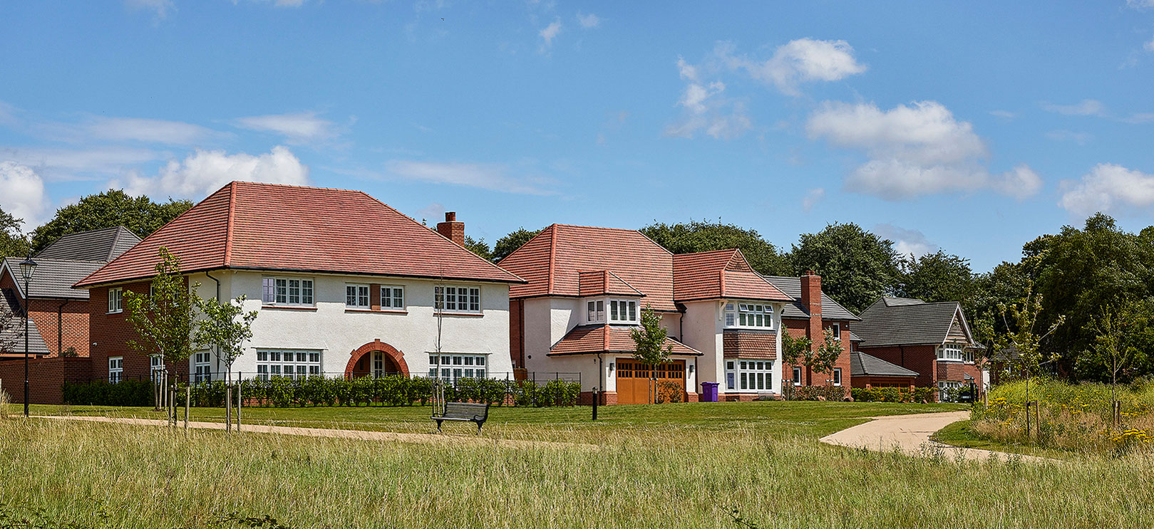 Site Image